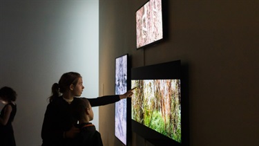 A boy and a girl are in a dark room and looking at backlit art pieces, the girl is pointing at something on the artwork.