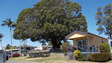 Bongaree caravan park cabins