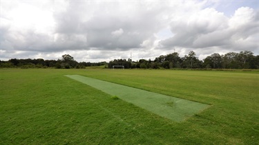 Cricket pitch