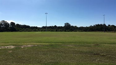 Field with lights