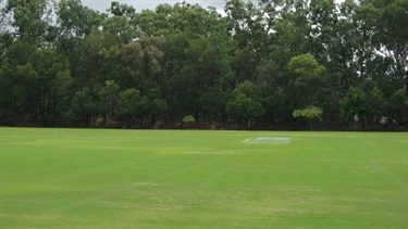 Cricket pitch