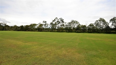 Main field