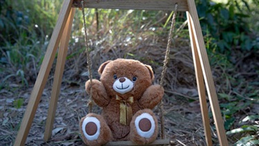 Teddy on a swing