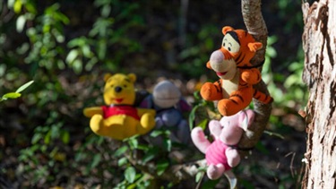 Winnie the pooh and friends