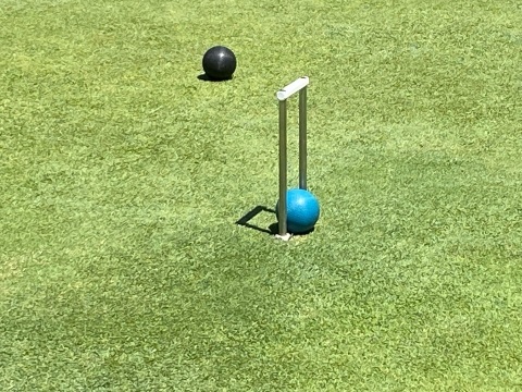 Image of a croquet field