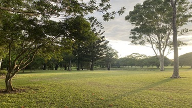 Green space at the Caboolture Arboretum