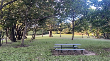 A picnic table in the Caboolture Arboretum green space