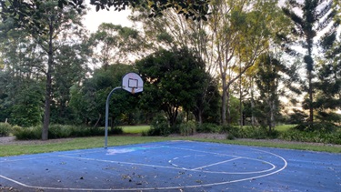 blue basketball court with hoop surrounded by trees