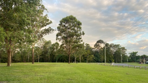 open grass area with trees and clouds in the sky