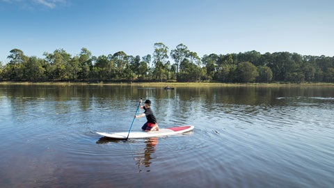 Learn to Stand Up paddle 