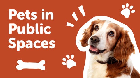 Orange background with dog on the side and text that reads Pets in Public Spaces