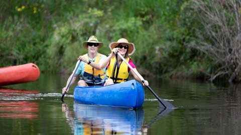 Twilight Paddle and Damper