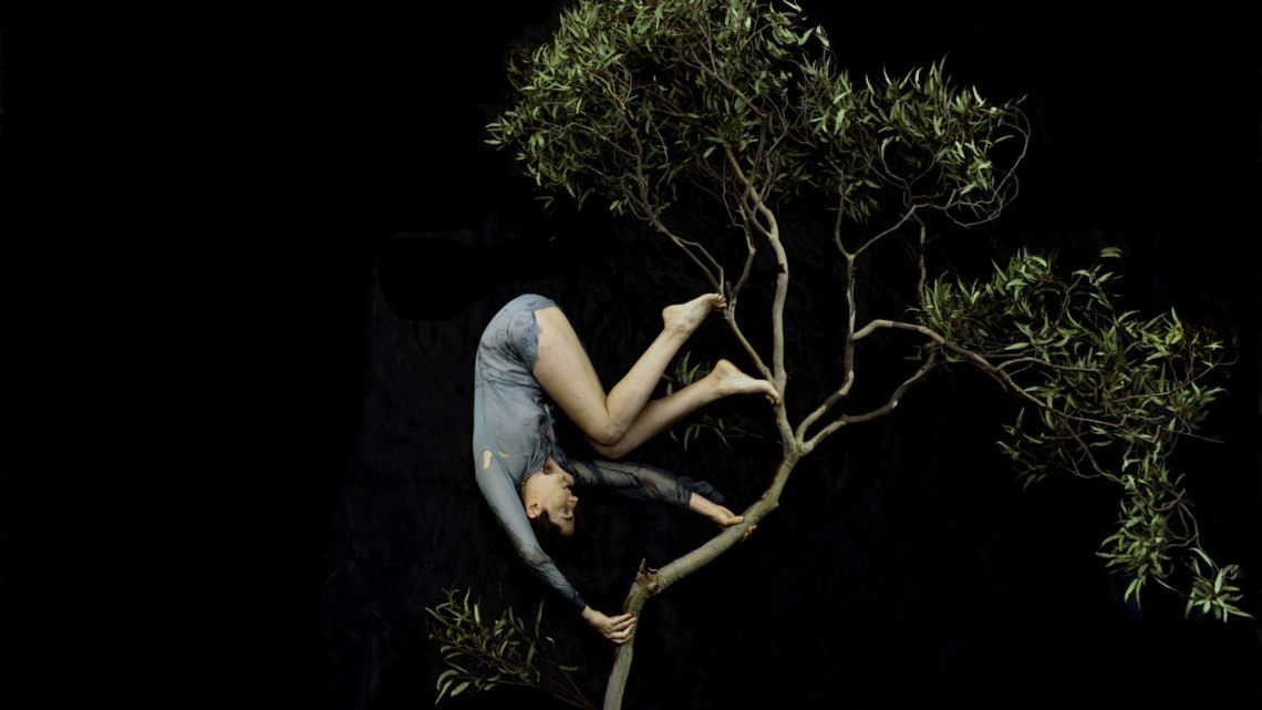 Woman somersaulting in tree against black background