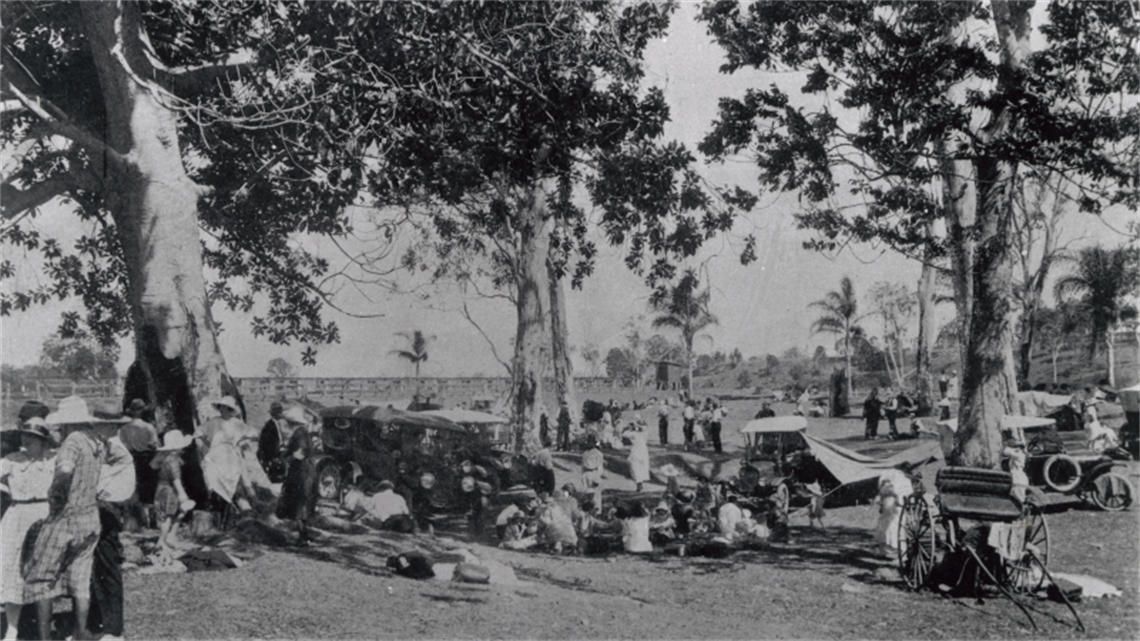 A popular picnicking area, Sweeney Reserve, Petrie, 1923 