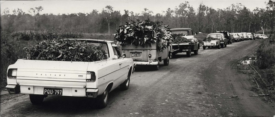 An image of cars lined up on the road of the future site of the Redcliffe Dolphins Club. © Moreton Bay Regional Council, Local History.