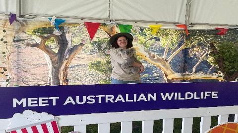 Meet Australian wildlife - a trained female animal handler holding a koala.