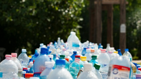 hundreds of plastic bottles lined up ready to be recycled