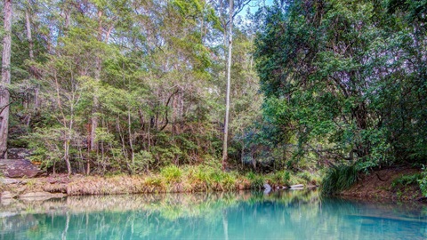 An image of a still Stoney Creek