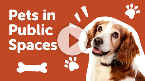 Pets in Public Spaces video