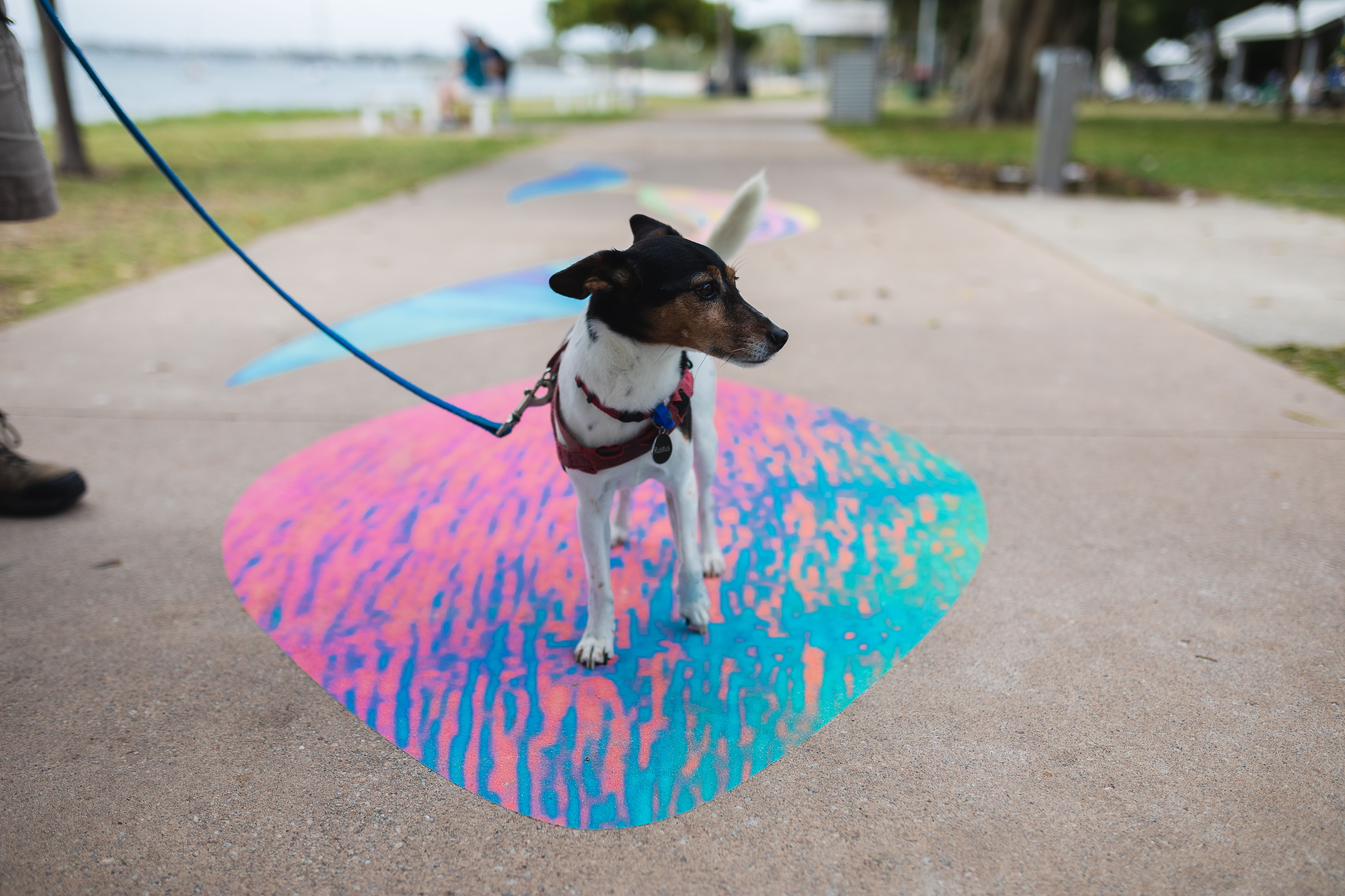 Foreshore Footpaths