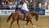 Queensland State Equestrian Centre