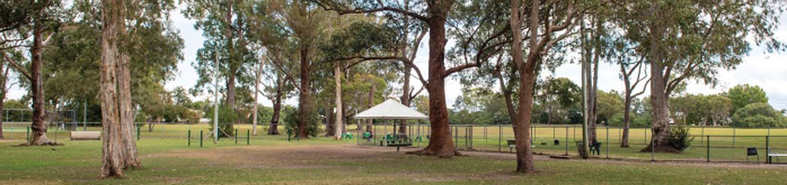 A pathway curves around the centre of the image and runs off into the distance, surround the footpath are trees.