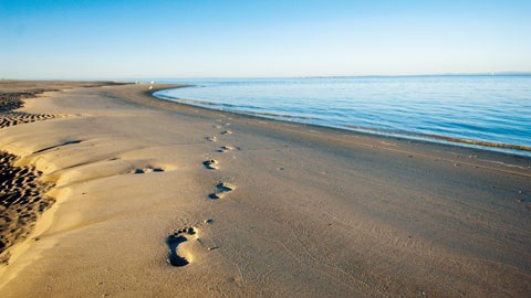 Bribie Island - footprints along the beach