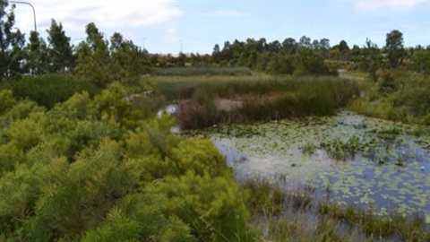 Green infrastructure strategy