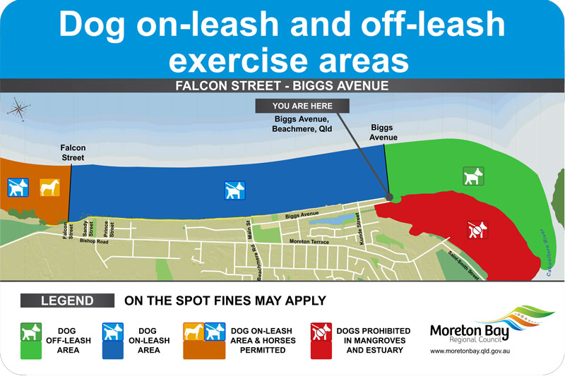 Beachmere foreshore dogs off-leash, on-leash areas: The blue zone from Biggs Avenue to Falcon Street is the dog on-leash area. The brown zone between Falcon Street and Louise Drive is the dog on-leash and horse area. The green zone between Louise Drive and the northern end of Bayside Drive is the dog off-leash area. The red zone is prohibited to dogs.